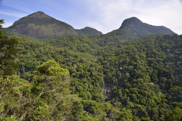 Pico da Tijuca, Pedra Redonda e Cascatinha Taunay